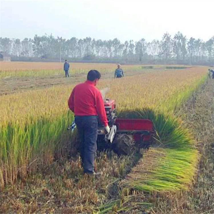 靑稞草小型收割机牧草割晒机手推柴油收割机批发