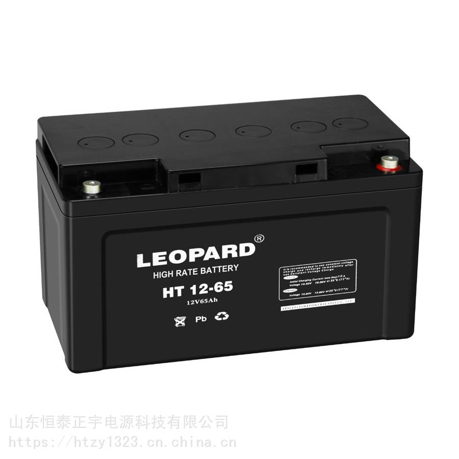 美洲豹蓄电池HTS12-6512V65AH机房UPS/EPS不间断电源