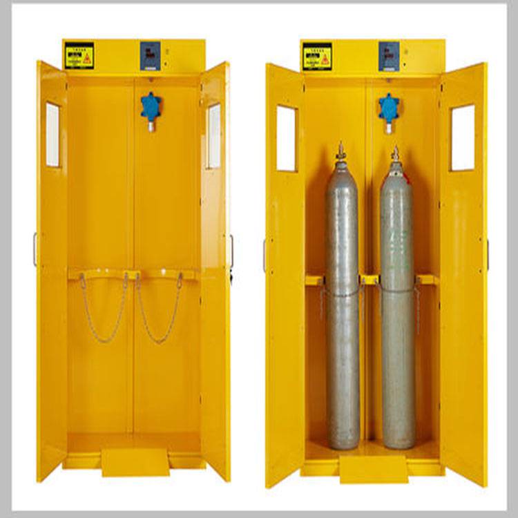 潍坊气瓶柜全钢双瓶气瓶柜气瓶储存柜实验室气体安全柜生产厂家哪家好有哪些