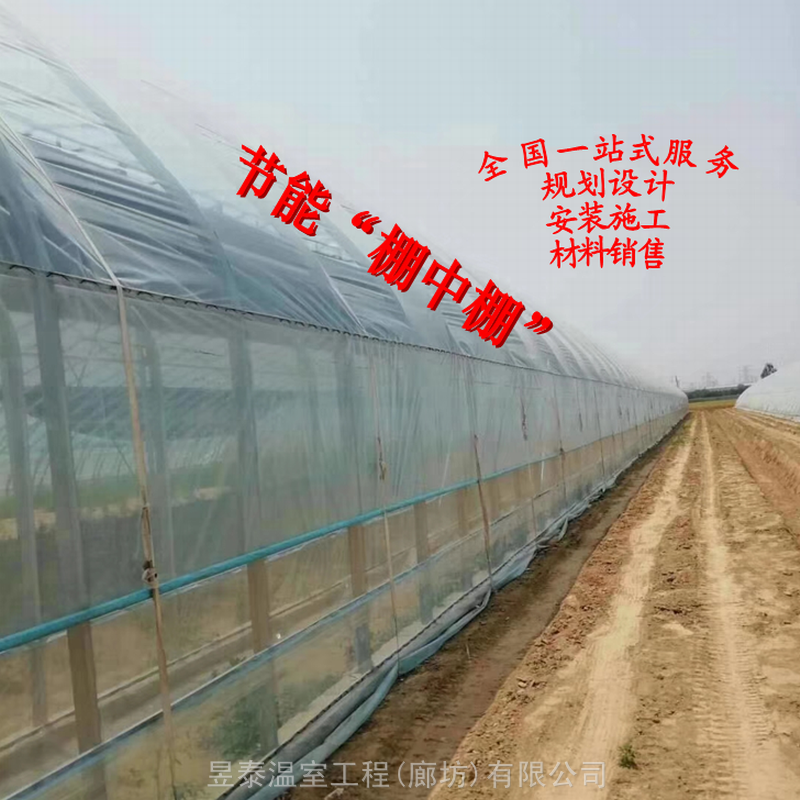 棚中棚薄膜温室大棚蔬菜大棚椭圆管大棚昱泰温室公司建造