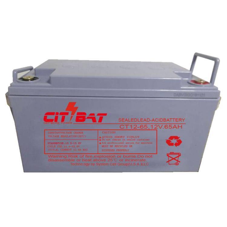 CITBAT蓄电池CB12-6512V65AH高压配电柜用机房UPS/EPS电源用