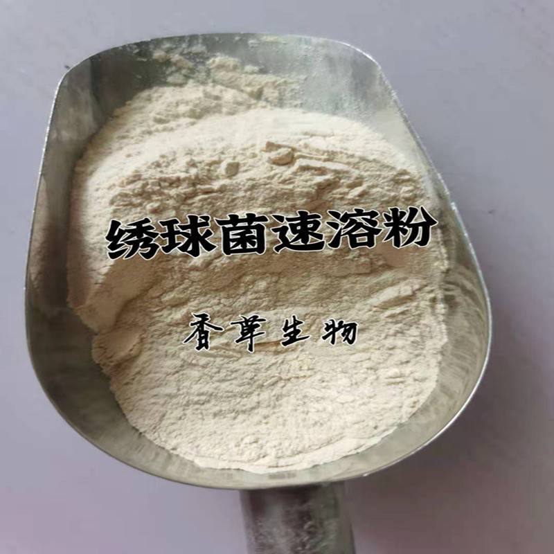 绣球菌速溶粉绣球菌提取物绣球菌浸膏粉绣球菌粉提取液浸膏