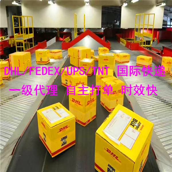 茶叶干货发DHL快递到美国香港DHL一级代理商通关率高