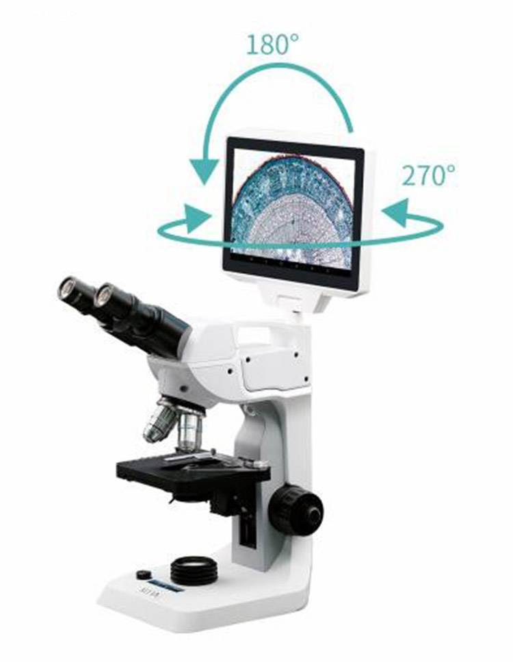 数码液晶显微镜 型号:M31-AS6105库号：M372372