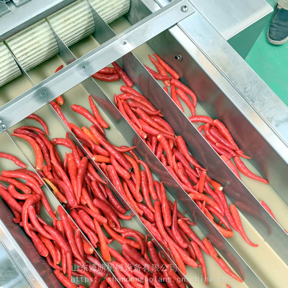山东博朗机械提供高端品小米椒切段机切圈机切辣椒机