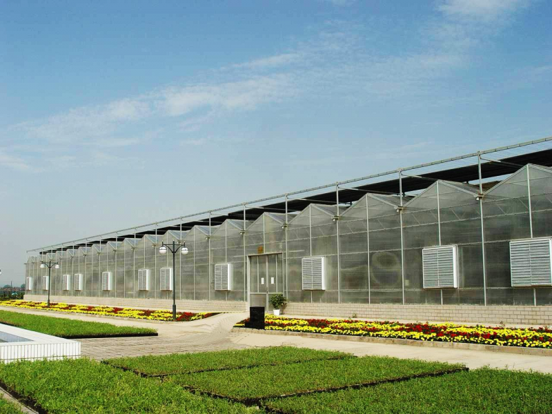 陕西花卉温室大棚的供货商盛鸿生产制造