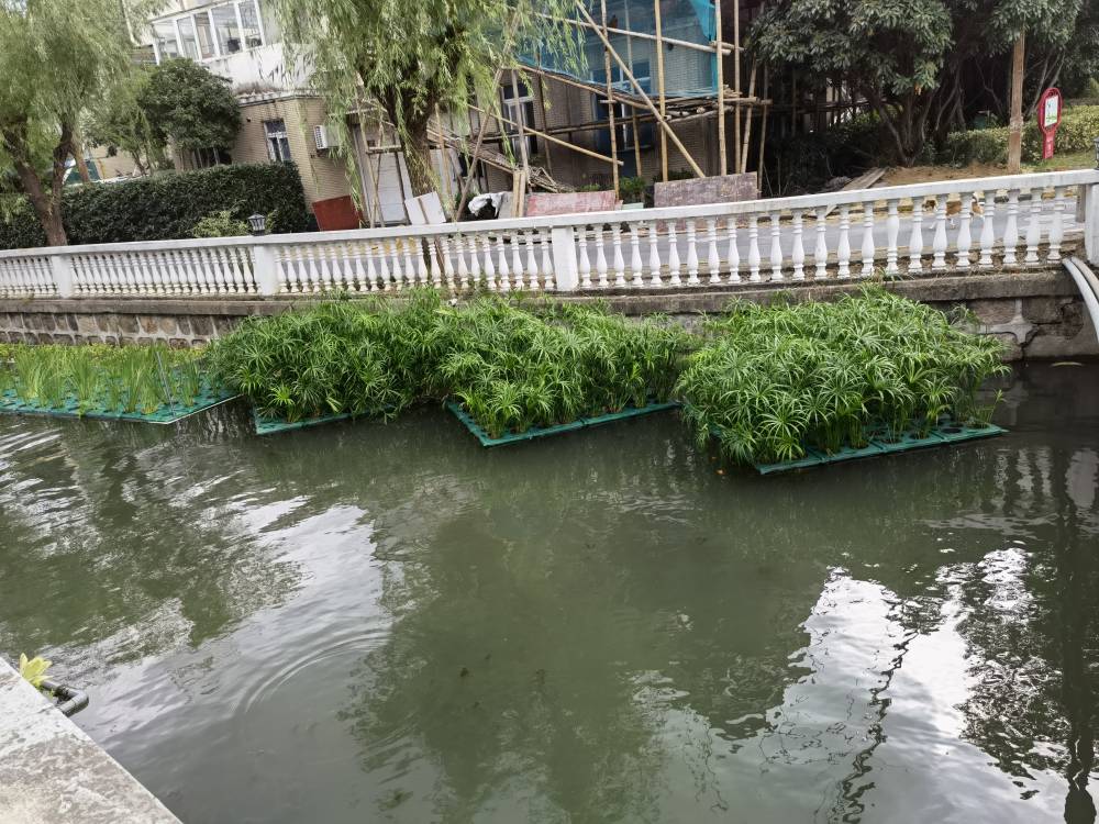 耘利合环保多色系水生植物浮床组装湿地绿化