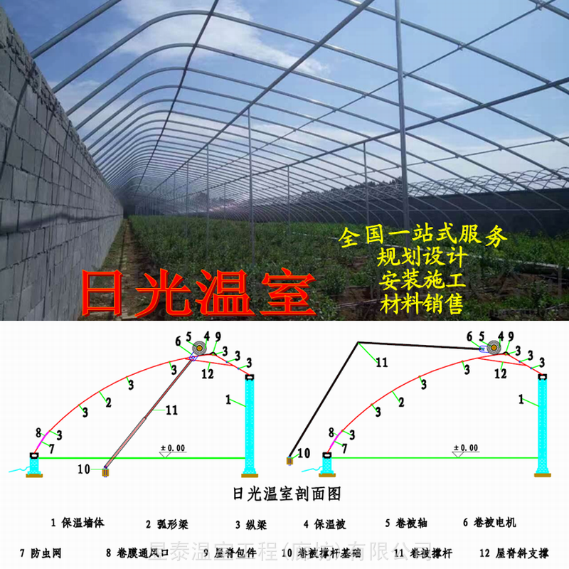 日光温室暖棚椭圆钢管大棚薄膜蔬菜温室大棚昱泰温室设计生产安装建造