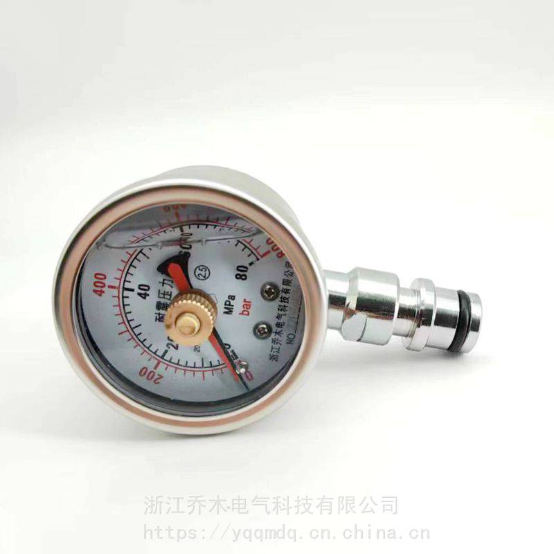 双针耐震压力表/综采支架抗震表/快速接头测压表BZY60