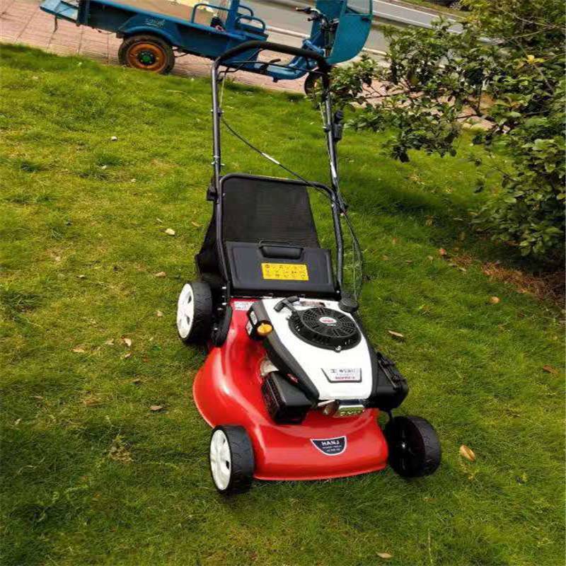 锦佳机械汽油手推草坪机大功率四冲程割草机园林机械草坪机厂