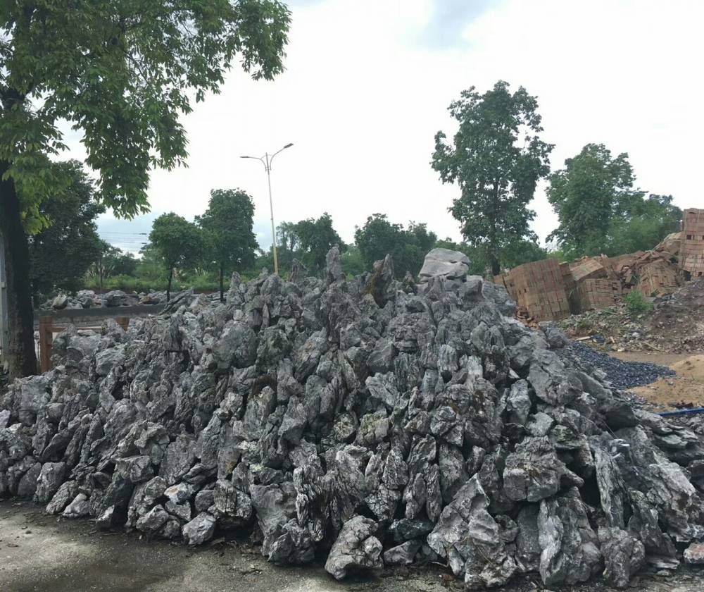 哪里有青龙石-鱼缸青龙石造景图片-鱼缸造景假山