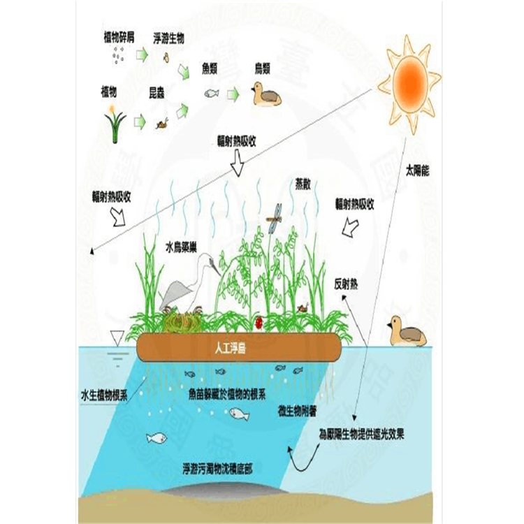 生态浮岛分析图图片
