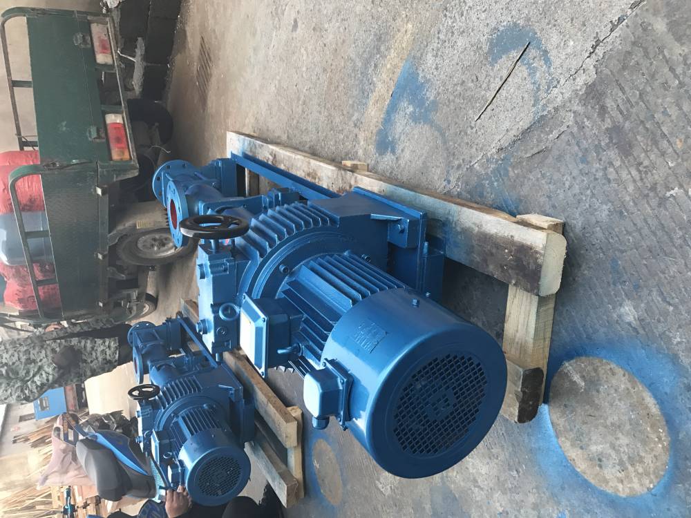 G型浓浆单螺杆泵G15-1泥浆污水单螺杆泵淤泥排污螺杆泵