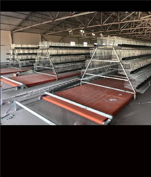 厂家直销养殖厂鸡笼三层四层阶梯式蛋鸡笼家用养鸡笼子养殖设备自动化