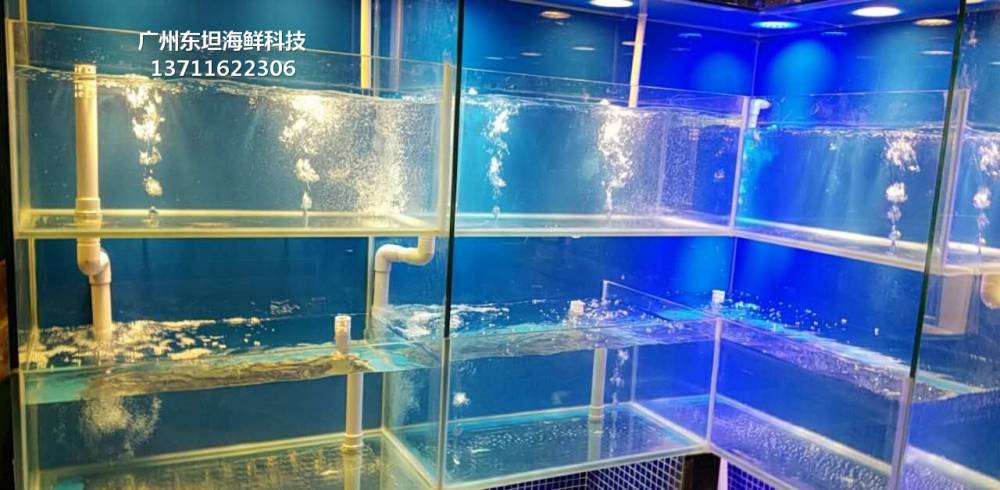 廣州從化大排檔海鮮魚池定製 - 廣州海鮮池製冷工程-大排檔海鮮魚池