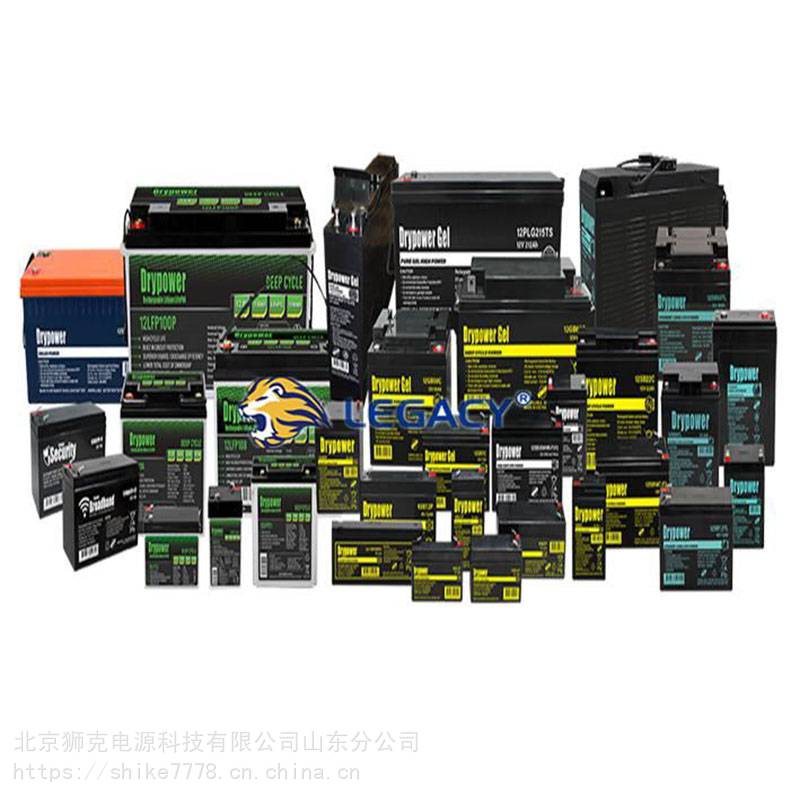 美国DRYPOWER蓄电池12GB24C12V24AH免维护应急储能