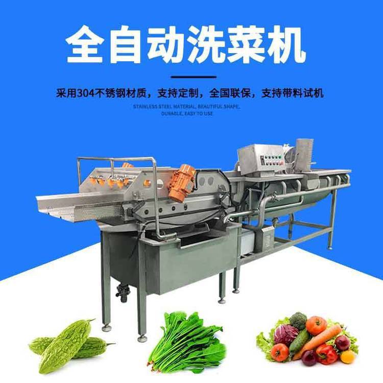 广州九盈全自动洗菜机 饭堂连续式涡流洗菜机 商用不锈钢洗菜机