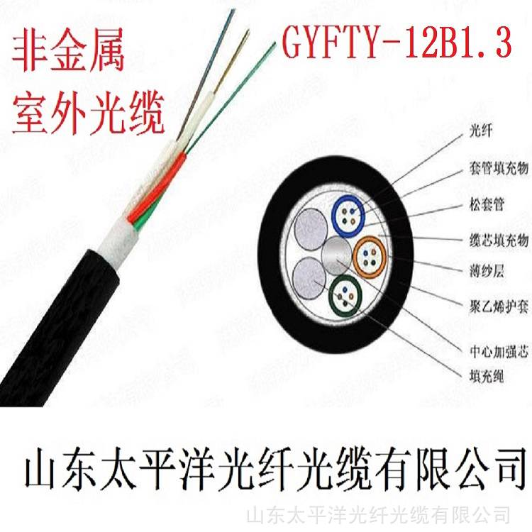 供应太平洋光缆GYFTY12芯单模非金属室外光缆通信光缆