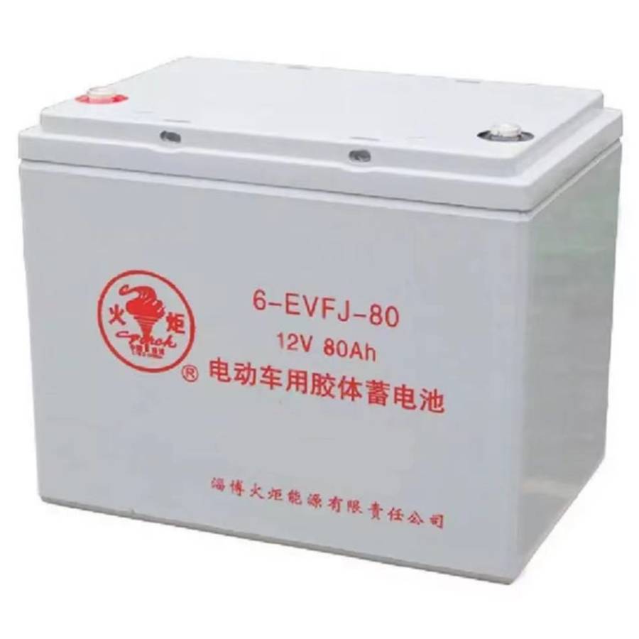 火炬蓄电池6-GFM-10012V100AH机房UPS/EPS不间断电源