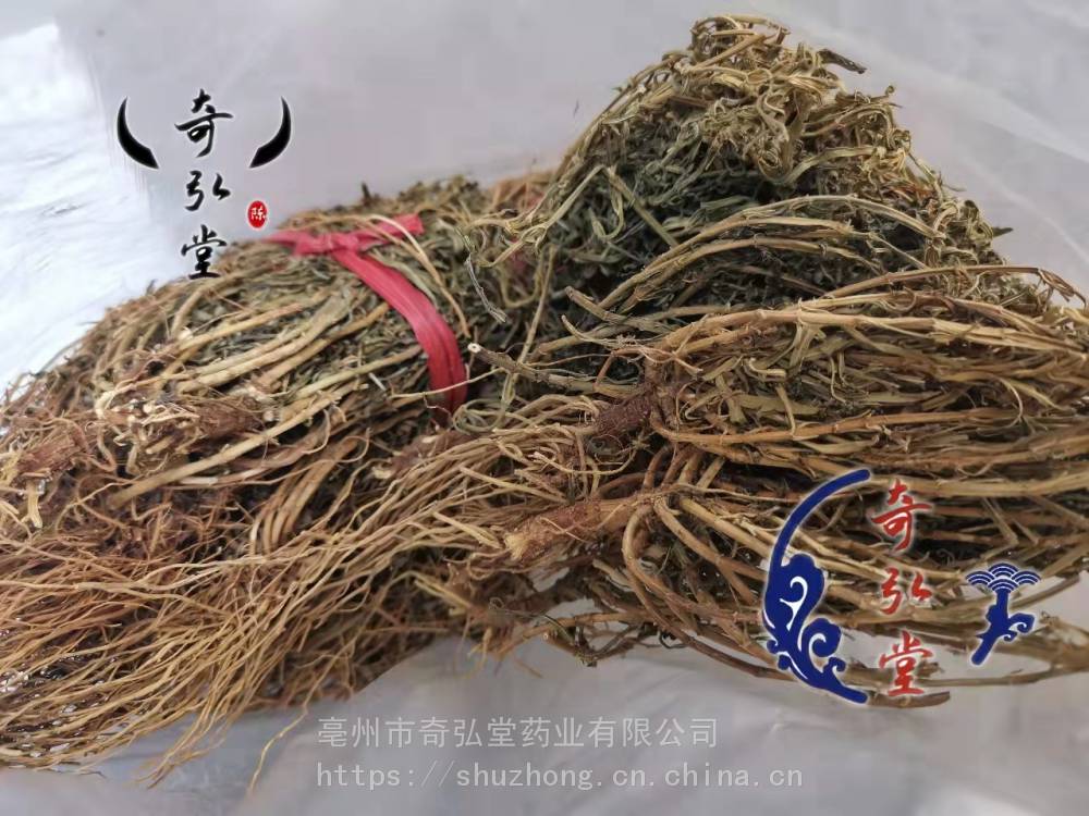 水黄连的服用方法一次吃多少