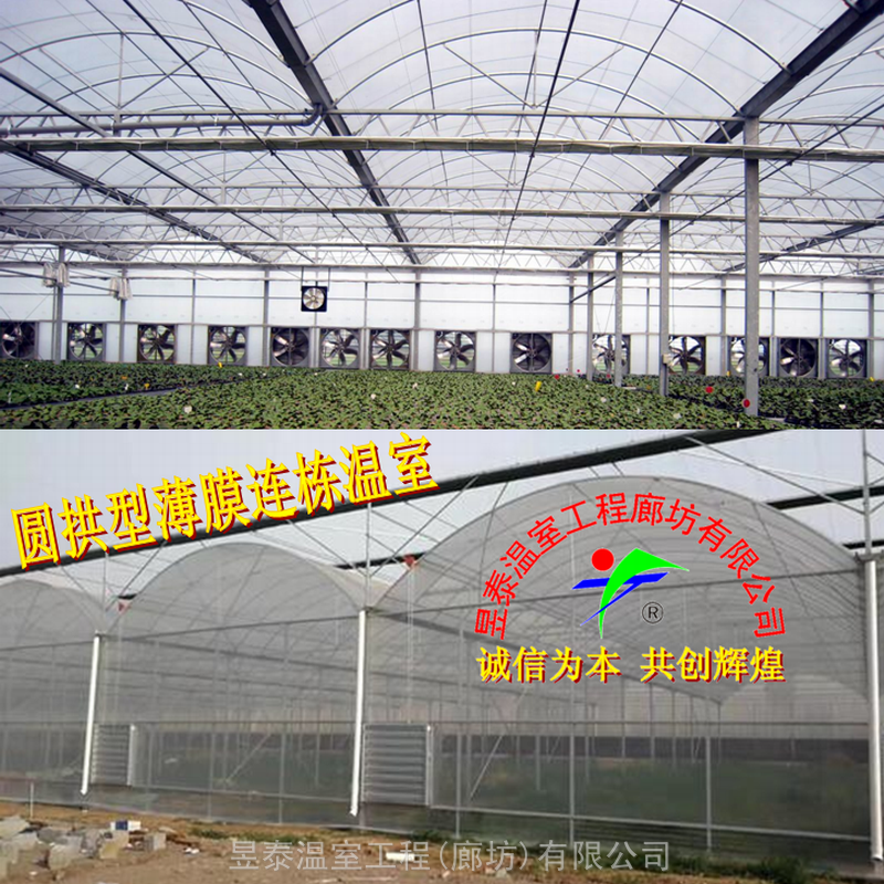 智能连栋棚薄膜大棚阳光板温室昱泰温室大棚材料建造蔬菜大棚育苗温室