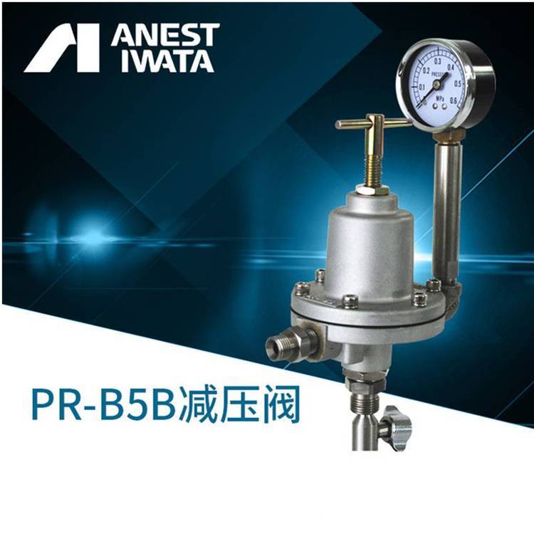 日本岩田空气减压阀调压阀 RR-56B空气减压阀压力桶空气 稳压阀