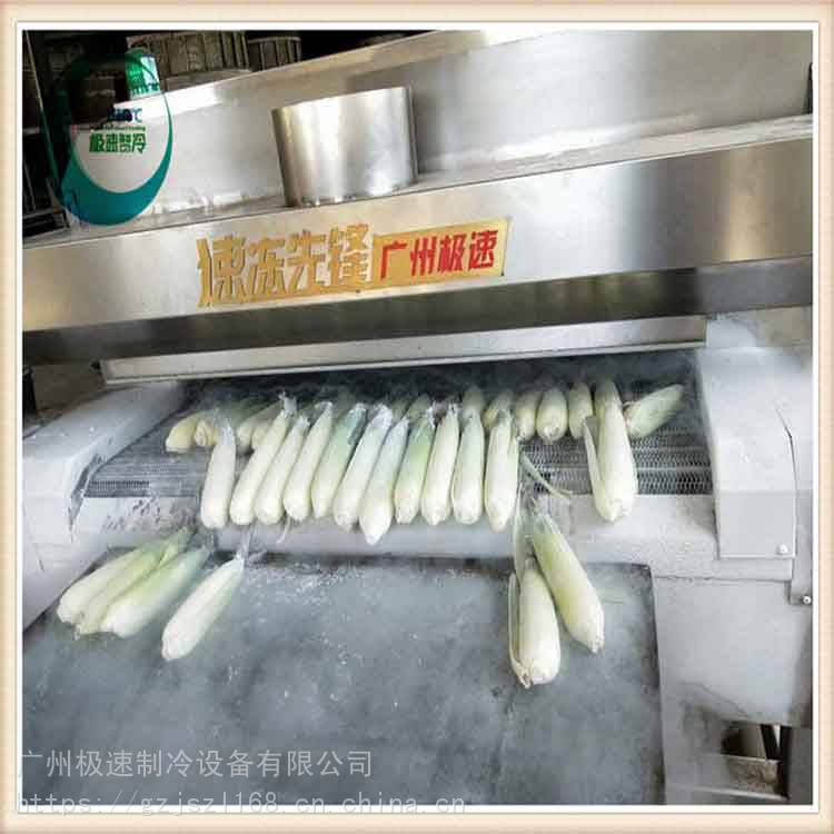 广州 大型液氮速冻机 粽子隧道式液氮速冻机 隧道式液氮速冻机 较速制冷