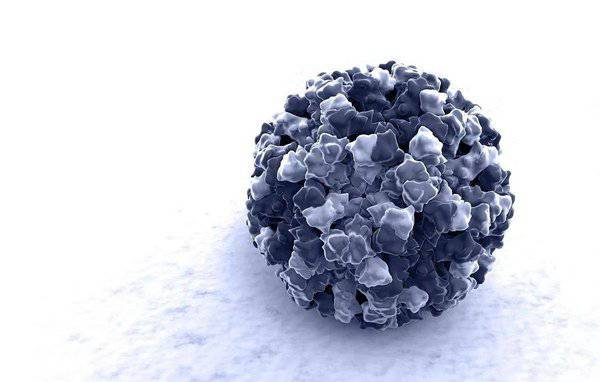 诺如病毒模型图