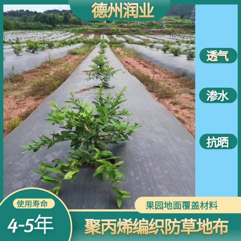 黑色果树防草布12米宽果园一亩地铺盖数量润业