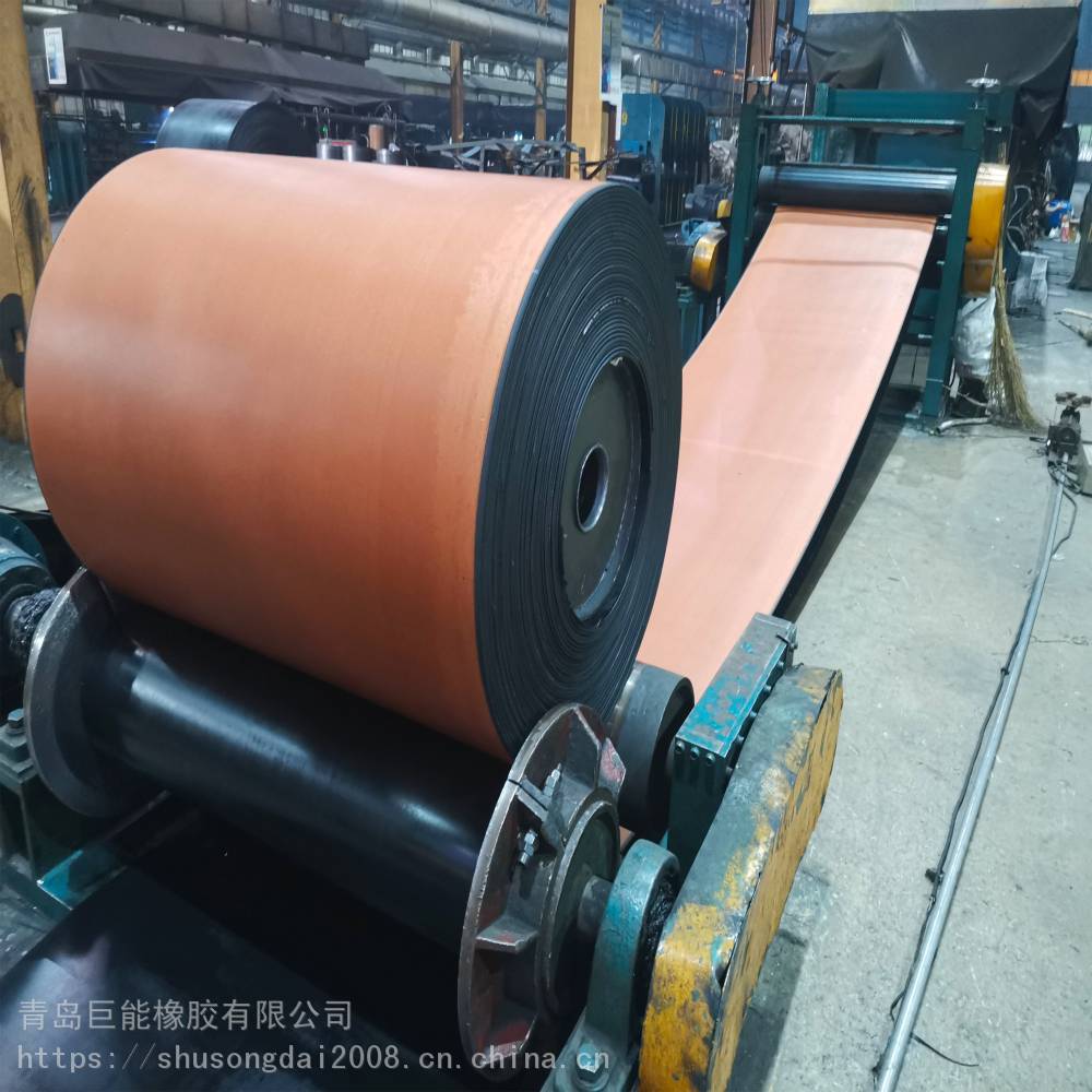 四川宜賓興文耐腐蝕輸送帶來圖加工制作