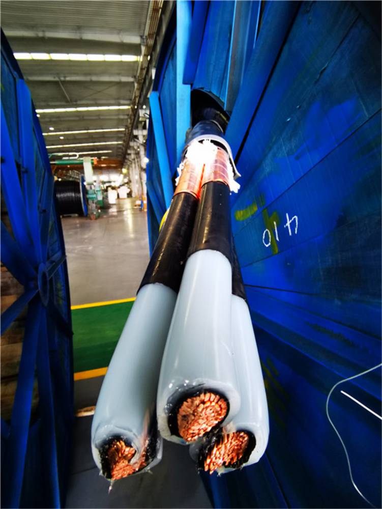 >  电工电气 >  电力电缆 >  lgj-400/35 钢芯 铝绞线中标价