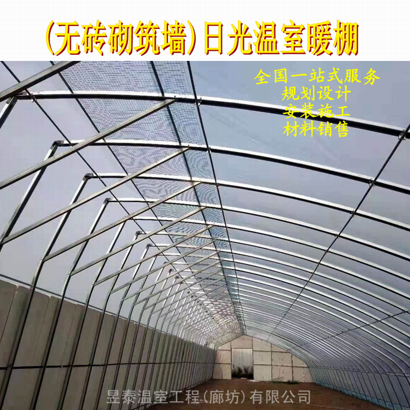 日光温室无后墙暖棚蔬菜薄膜大棚椭圆管几字钢大棚建造