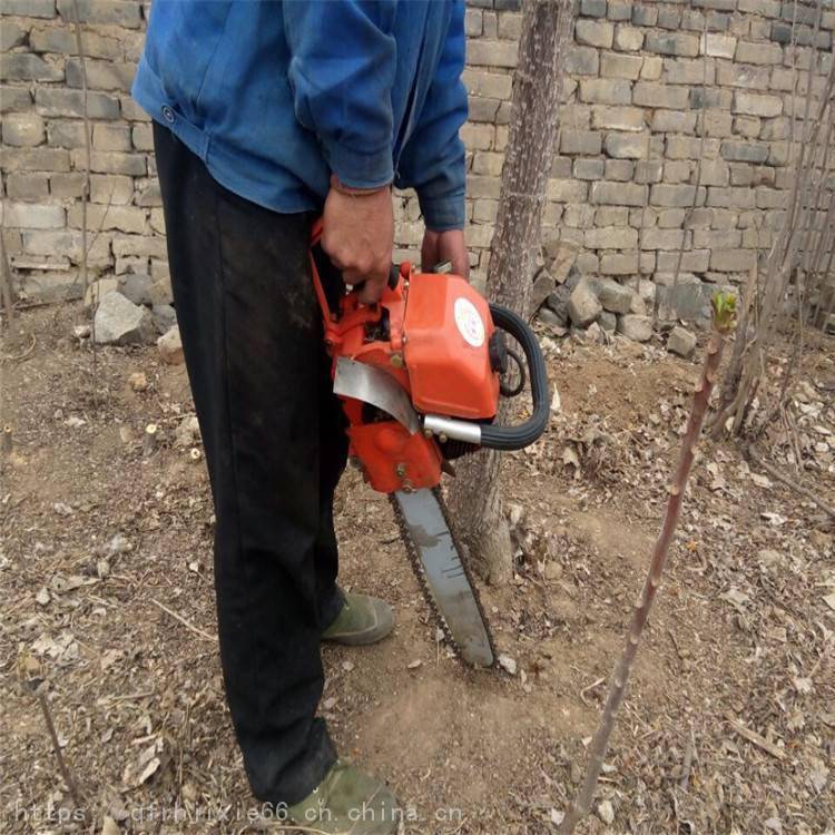 【帶土球起苗機 園林綠化移植機 輕鬆挖樹機】圖片