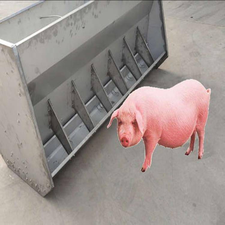 猪食槽设计图片