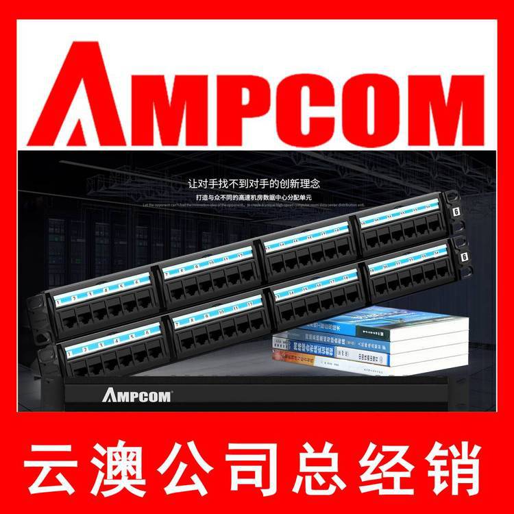 云澳安普康AMPCOM工程八位10A开关 防雷型PDU机柜电源插座