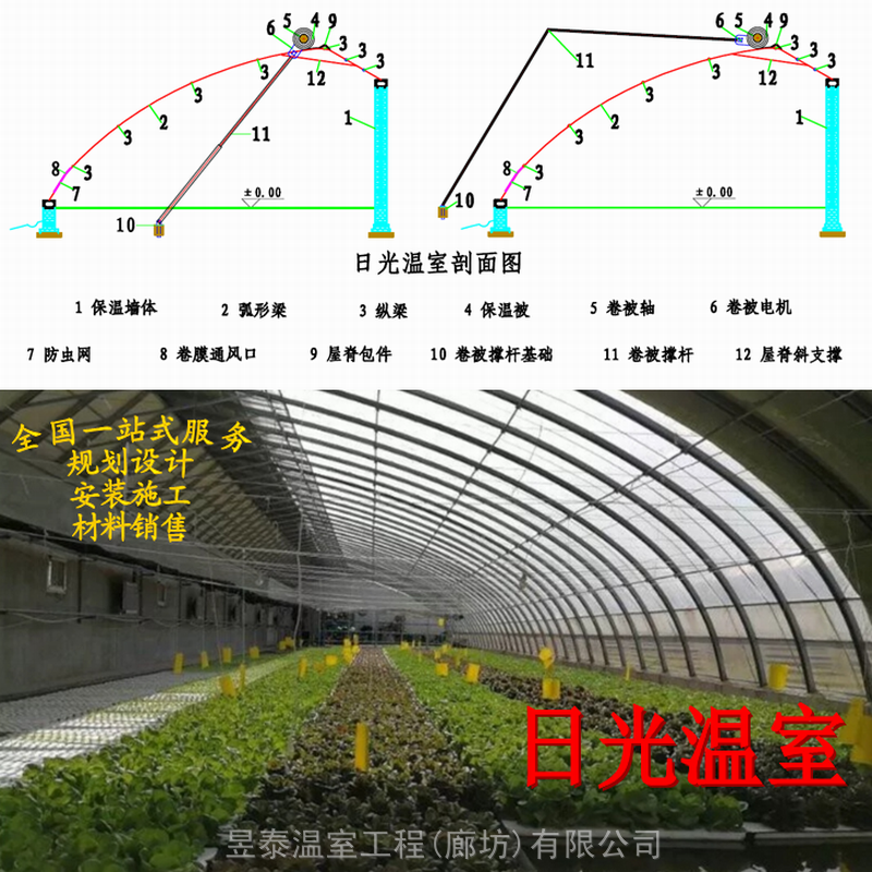 日光温室大棚暖棚蔬菜大棚薄膜大棚棉被保温棚昱泰温室公司建设