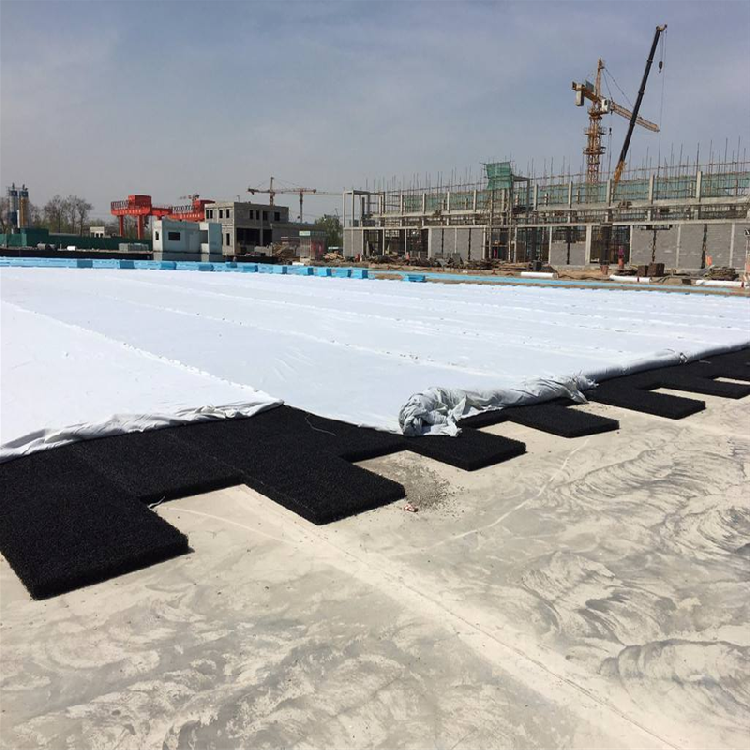 福建福州市垃圾填埋场塑料渗排水片材1cm-10cm渗排水土工席垫