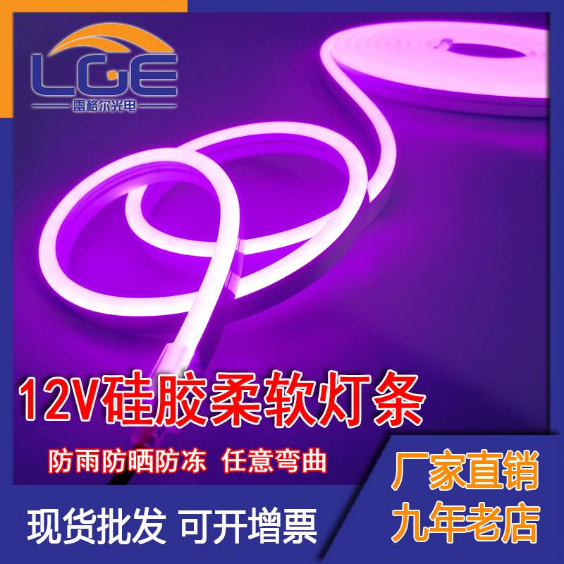 LED霓虹燈條硅膠防水軟燈帶共擠套管軟燈帶12V