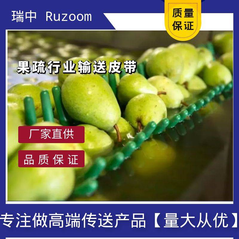 RUZOOM瑞中土豆紫外线皮带线果蔬辐射加工插花苹果高冲击高磨损延伸输送带