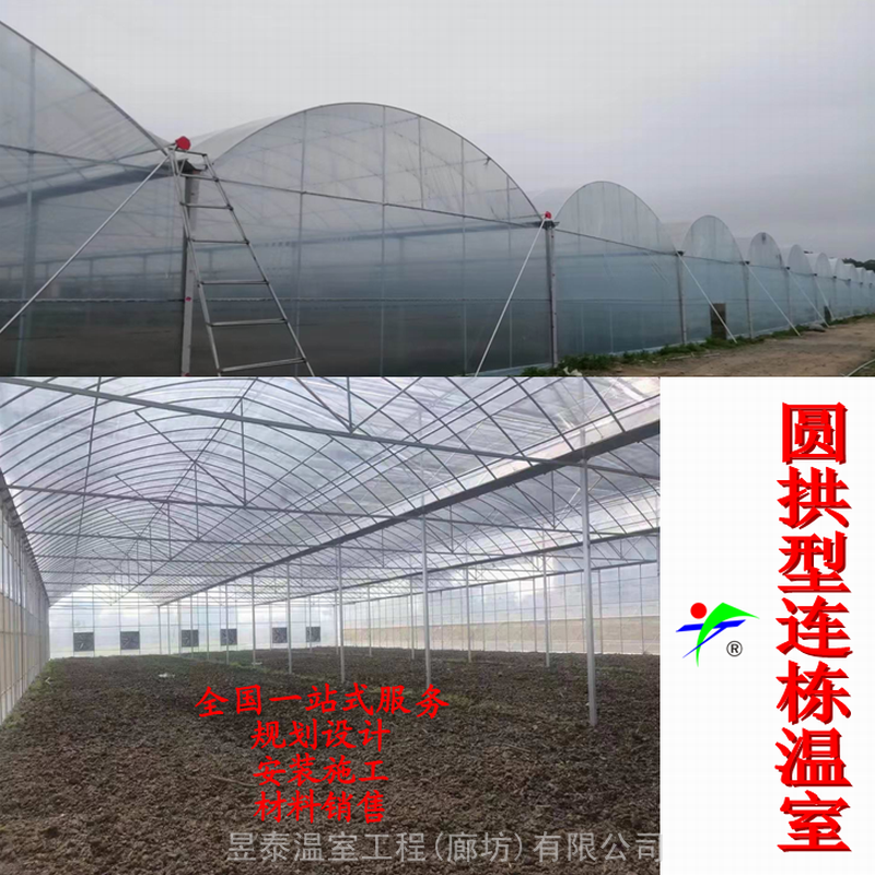 薄膜连栋温室连栋拱棚蔬菜连栋棚连栋温室大棚建造