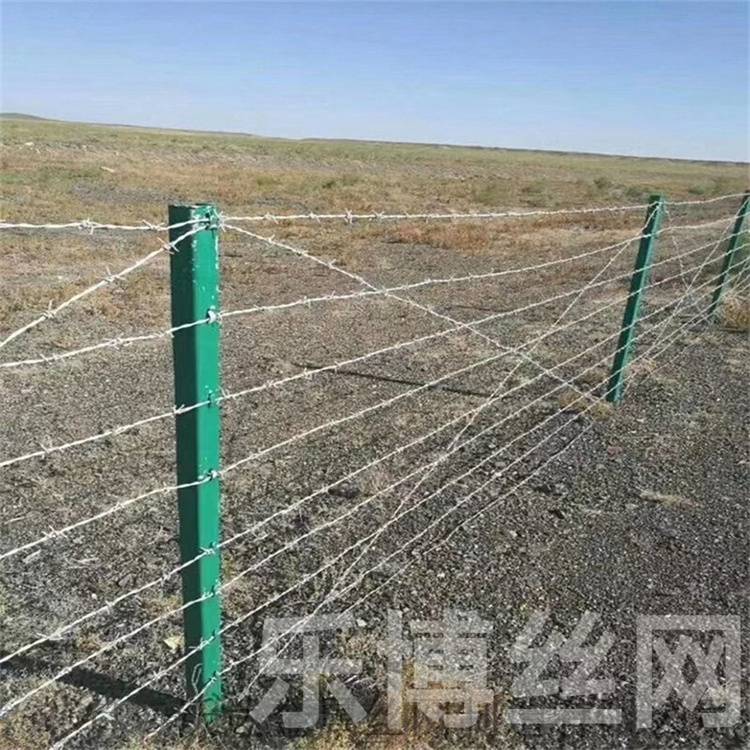 乐博隔离护栏网厂家供应60米围栏刺铁丝