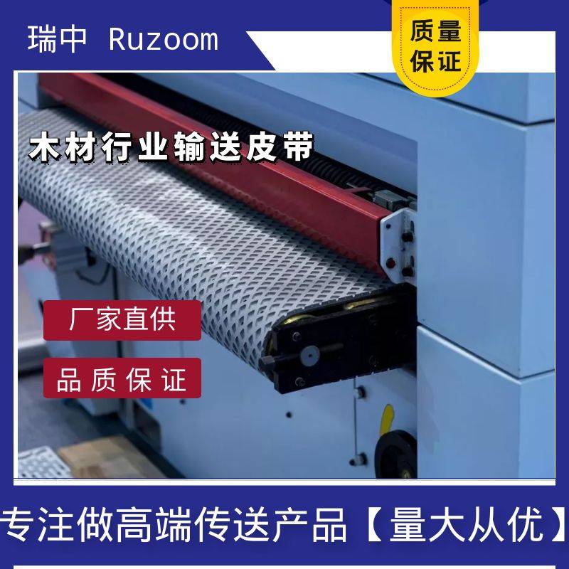 RUZOOM瑞中木材加工输送带预压皮带成型机流水线板材同步传送带