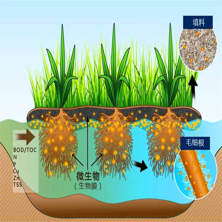 厂家供应人工浮岛漂浮湿地水生植物种植浮床水上浮岛工程安装