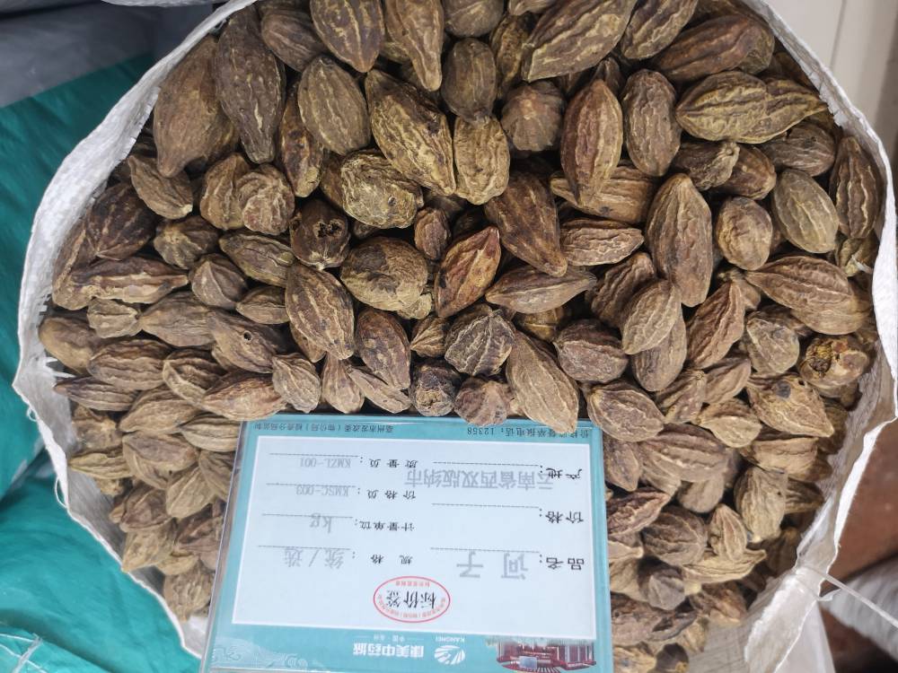 柯子肉价格-诃黎勒产地-诃子市场价格