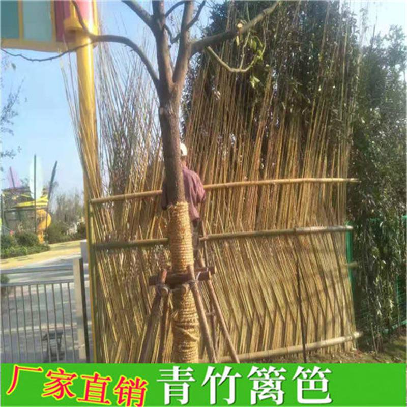安徽 菜园围栏 碳化竹篱笆 价格优惠
