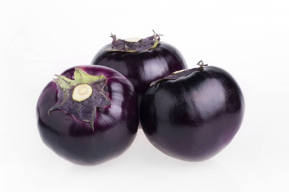 乌兹别克斯坦(uzbekistan)新鲜茄子批发与运输