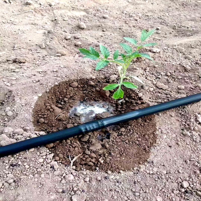 厂家直销农业灌溉用pe滴灌管蔬菜果树使用内镶滴灌管造价