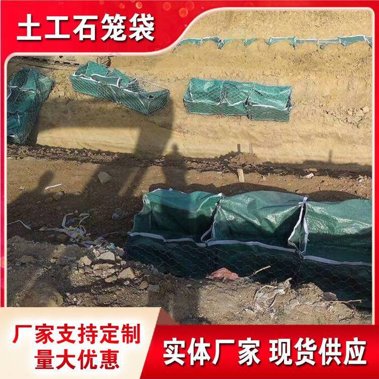 供应绿色pet草籽盖重力模袋聚酯土石笼袋生产厂可定制