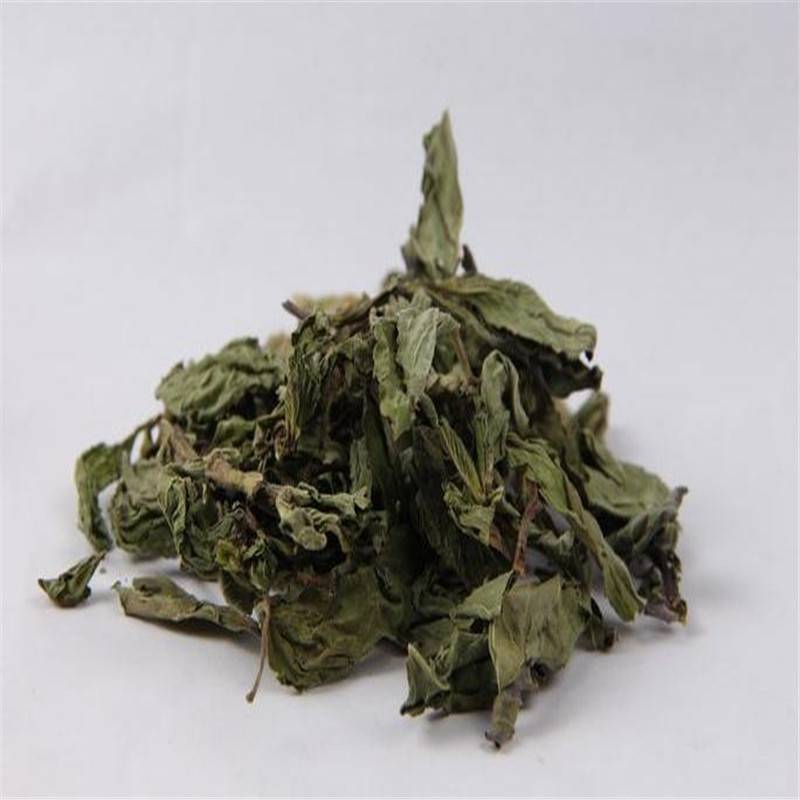 薄荷批发价格 薄荷药用方法 亳州市谯城区祥刚中药材种植专业合