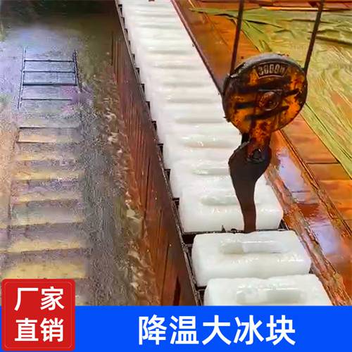 杨浦降温冰块/杨浦降温冰块批发/上海杨浦室内降温冰块